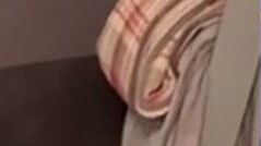 Happy Comedy Dog Hook Pt.12