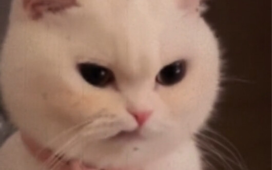 Be honest with me—do you actually have a thing for me?