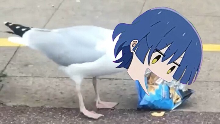 凉：吃白食什么的果然最棒了