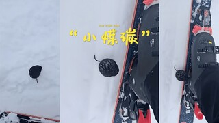 滑雪途中发现了一颗会动的“小煤碳”