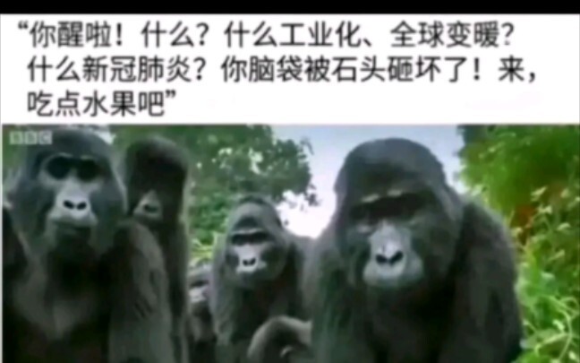 【ภาพมีม】ฉันยังชอบชีวิตยุคก่อนประวัติศาสตร์อยู่ดี…
