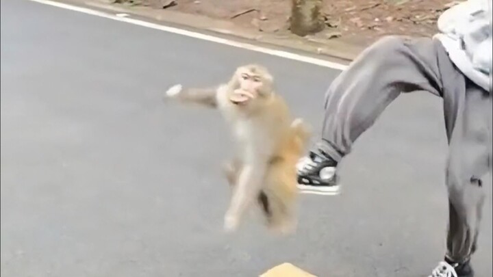 Laugh every time you watch it!