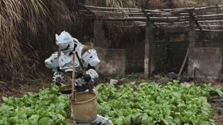 耗时300小时的雪獒铠甲挑粪更轻松了!