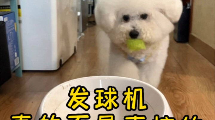 The fool still thinks the ball machine is voice-activated.