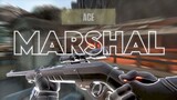 Valorant - Marshal Ace Clip (ft. my friends) [Gaming Kitty Cath]