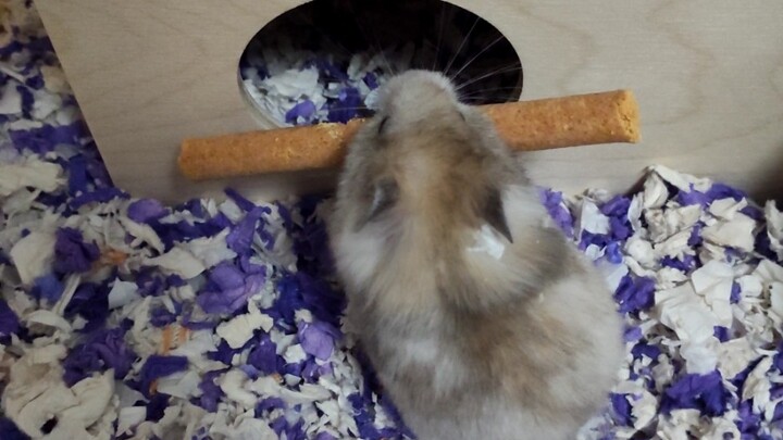 How could this not go in?