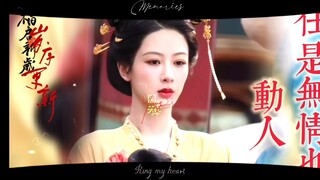 华策董事长亲认杨紫“《国色芳华》是新历史剧”！山东卫视制作视频迎接何惟芳转战齐鲁、
