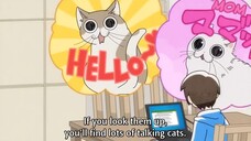 Nights with a Cat, Zutto Neko Shoshinsha, season 2 ep1