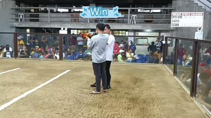 1st Fight Win @VSC 2 stag derby 11-18-25. Another one Double champ 🏆🏆We are on a winning streak