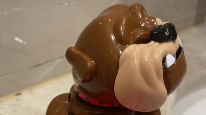 This dog is so possessive about its food!!!