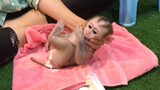 Making Up monkey Mino and diaper