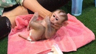 Making Up monkey Mino and diaper