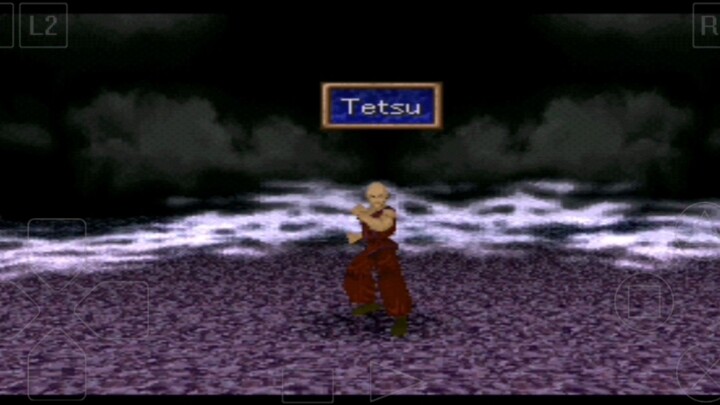 Rim Elm Legend of Legaia Tetsu vs Vahn