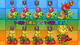 1-5阶白嫖队 VS 1-5阶氪金队！结局会如何？