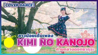 【Cover Dance】สาวน้อยเต้นเพลง Kimi no kanojo ท่ามกลางดอกซากุระ