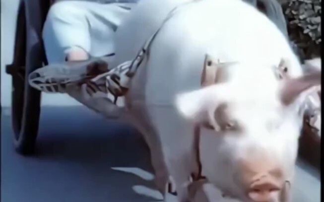 #เส้นทางการเดินทาง #โชว์แผนที่รอยเท้าของคุณ #ฉันอยากกลับบ้านแล้ว#พนักงานสัตว์เลี้ยง