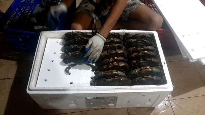 packing kepiting