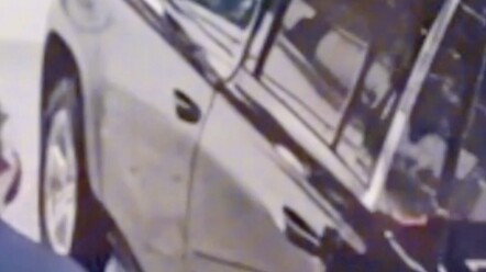 Curiosity killed the cat.