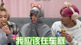 瓜铁羊：我应该在车底