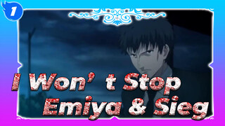 Even the Hell is ahead of Me, I Won’t Stop | Emiya & Sieg / Epic Ending_1