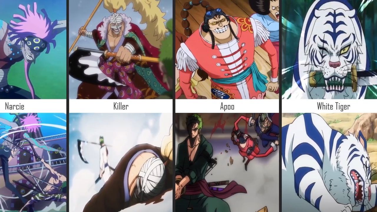 One Piece Characters Before After Fighting Roronoa Zoro Bilibili