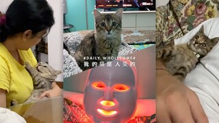 我的猫是人变的！真的！有证据！不信你看！