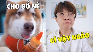 Đông Dương Đại Ngáo | Khi Bố Nhờ Ngáo Đông Dương Đỡ Đần Việc Nhà Và Hậu Quả Thì 🤣 Gâu Đần Official