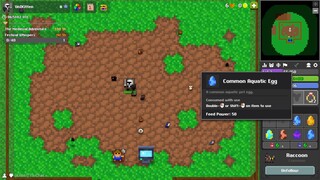 Common Aquatic Egg-Turtle