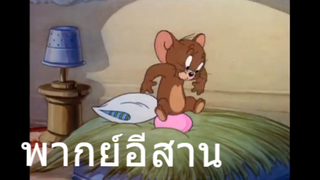 ทอมแอนเจอรี่ ลูกนกบ่แม่นหนู พากย์อีสาน EP.1