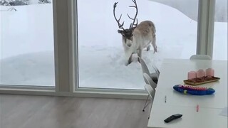 When you wake up in the morning and see this