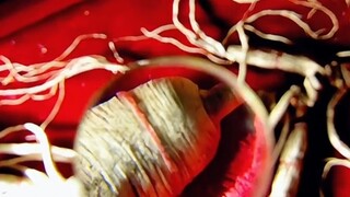 学徒只是看了一眼人参。就意识到师父让人给骗了