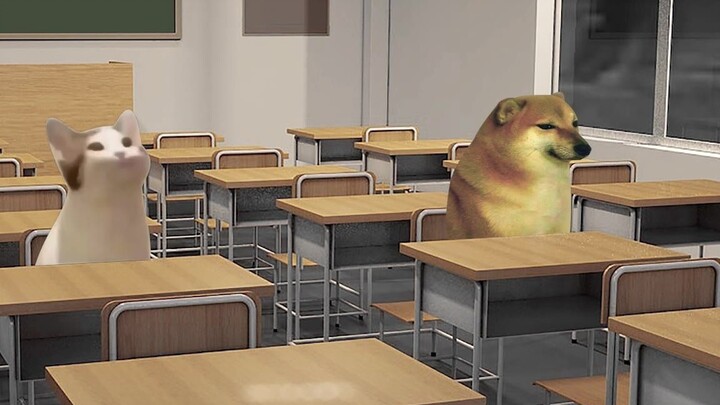 تشيمز يتعلم اللغة الإنجليزية