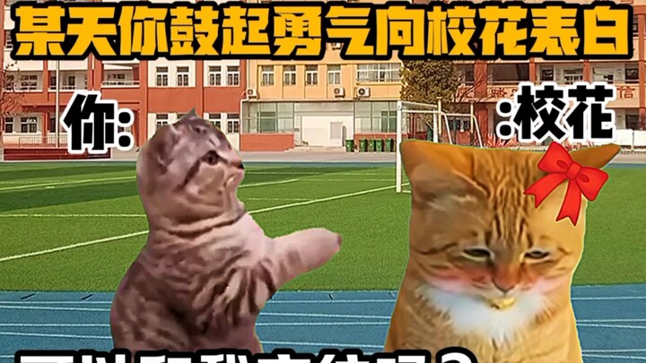 《猫meme小剧场》当你鼓起勇气向校花表白时！