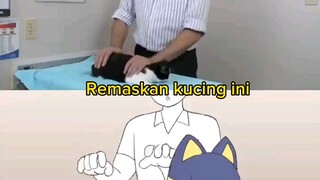 cara merawat kucing🤤