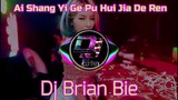 Ai Shang Yi Ge Pu Hui Jia De Ren 爱上一个不回家的人 Remix By Dj Brian Bie