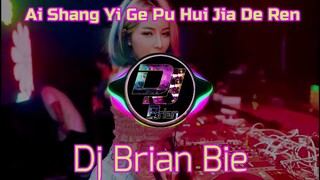 Ai Shang Yi Ge Pu Hui Jia De Ren 爱上一个不回家的人 Remix By Dj Brian Bie