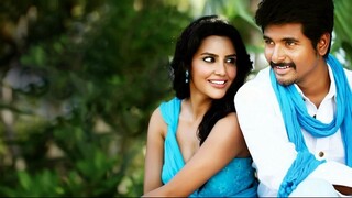 Ethir Neechal (2013)