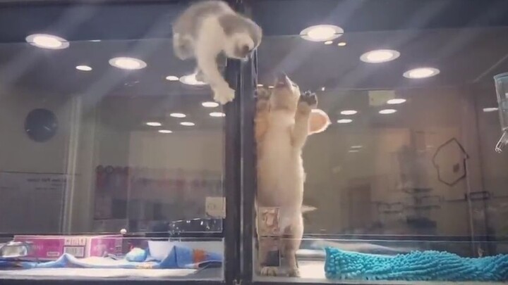 هذه الحلاوة اللعينة هي بلا شك حب حقيقي عابر للعرق والجنس.