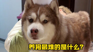 What's the hardest dog-raising problem you've encountered? There's only one answer...