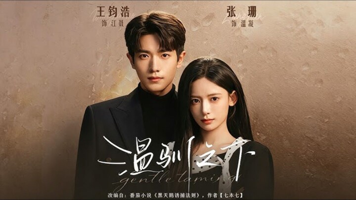 《温驯之下》Under Gentleness | Wang JunHao 王钧浩 & Zhang Shan 张珊