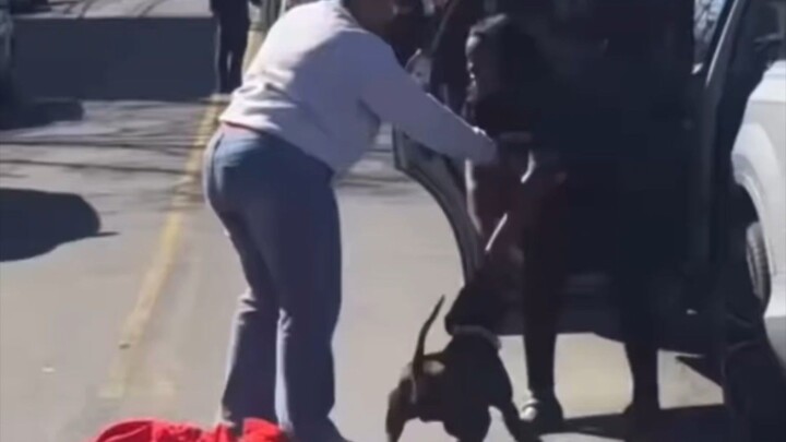 Woman Hurt in Pit Bull Attack, Video Sparks Debate on Dog Awareness
