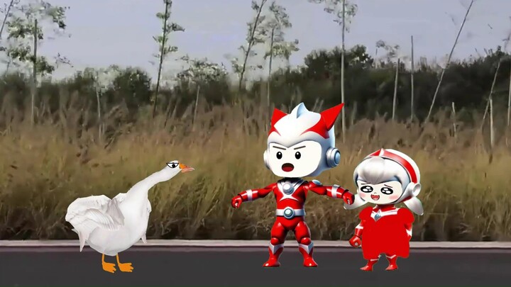 小鸭子你别过来咬我