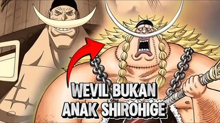 Ternyata Inilah Asal Usul Wevil !!!