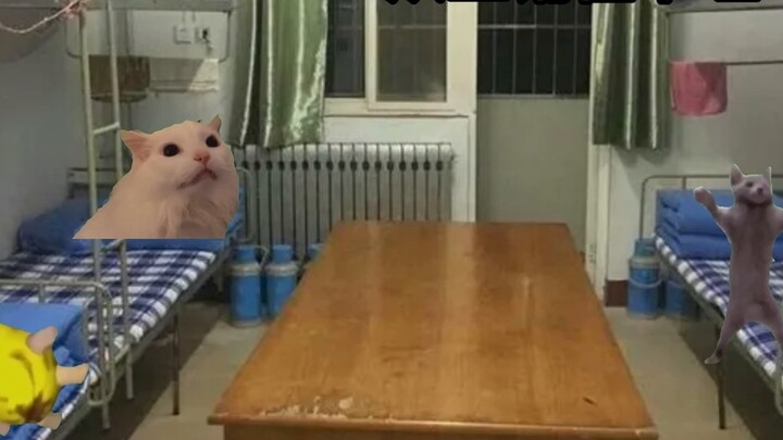 (Cat meme) The story of a drunken roommate destroying the dorm