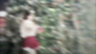 小姐姐