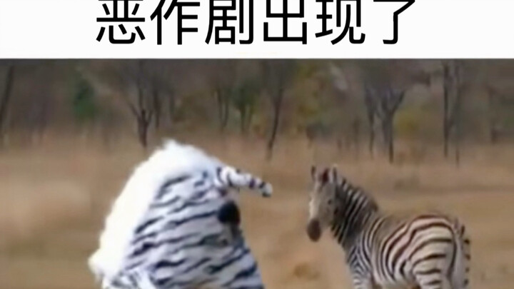 ظهرت أكثر مقالب غباءً في التاريخ!