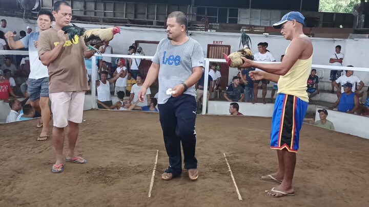 MANOK BUNDOK