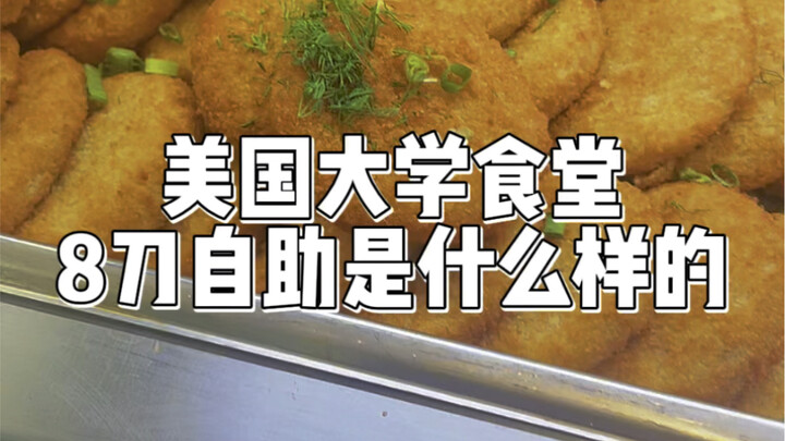 $8 Buffet at an American University Cafeteria | Today’s Dish: Crab Croquettes