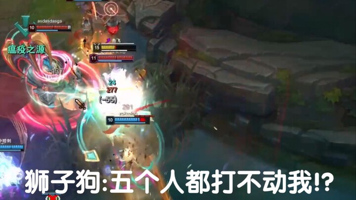 Anjing Shih Tzu: Lima orang saja tidak bisa melawanku!?