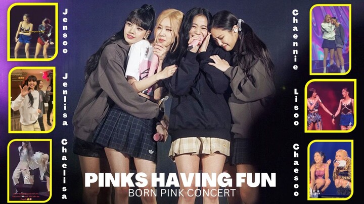 ALL SHIPS SAILING! - PINKS HAVING FUN AT BORN PINK CONCERT